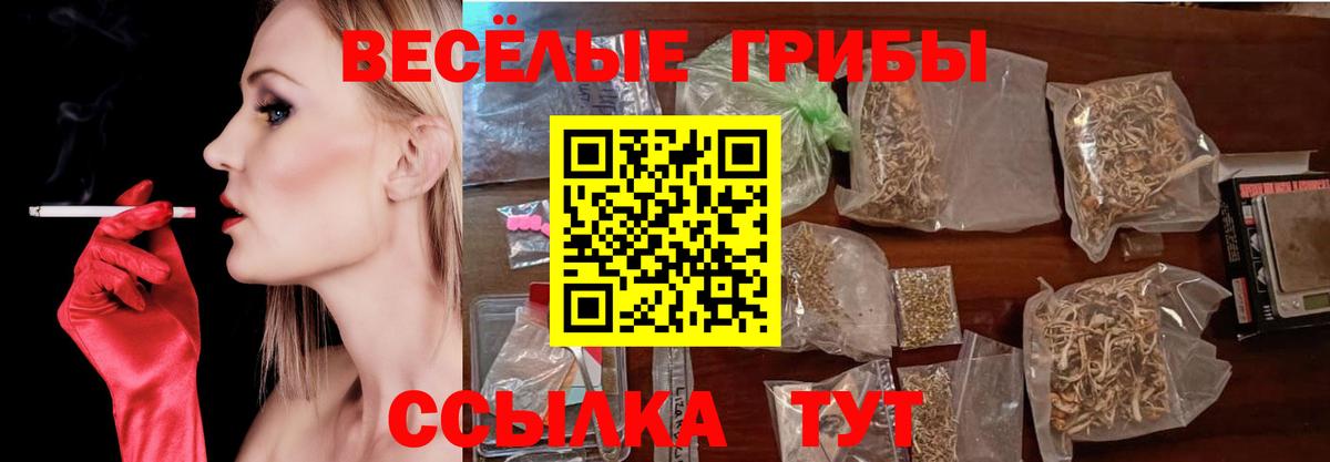 Псилоцибиновые грибы мицелий Лысьва